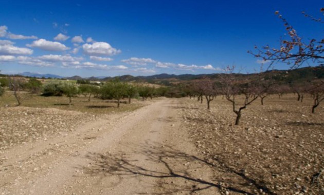 Sale - Plot / Land -
Murcia