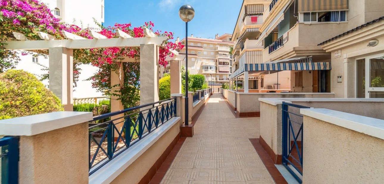 Long time Rental - Flat -
Torrevieja - La Mata