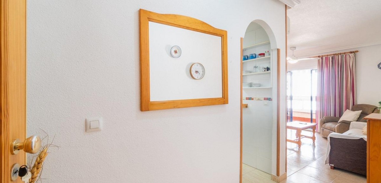 Long time Rental - Flat -
Torrevieja - La Mata