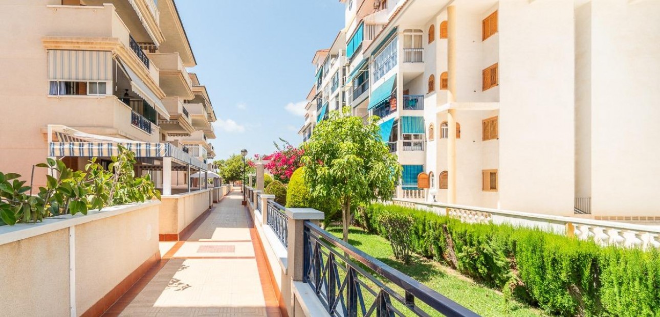 Long time Rental - Flat -
Torrevieja - La Mata