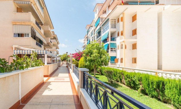 Long time Rental - Flat -
Torrevieja - La Mata
