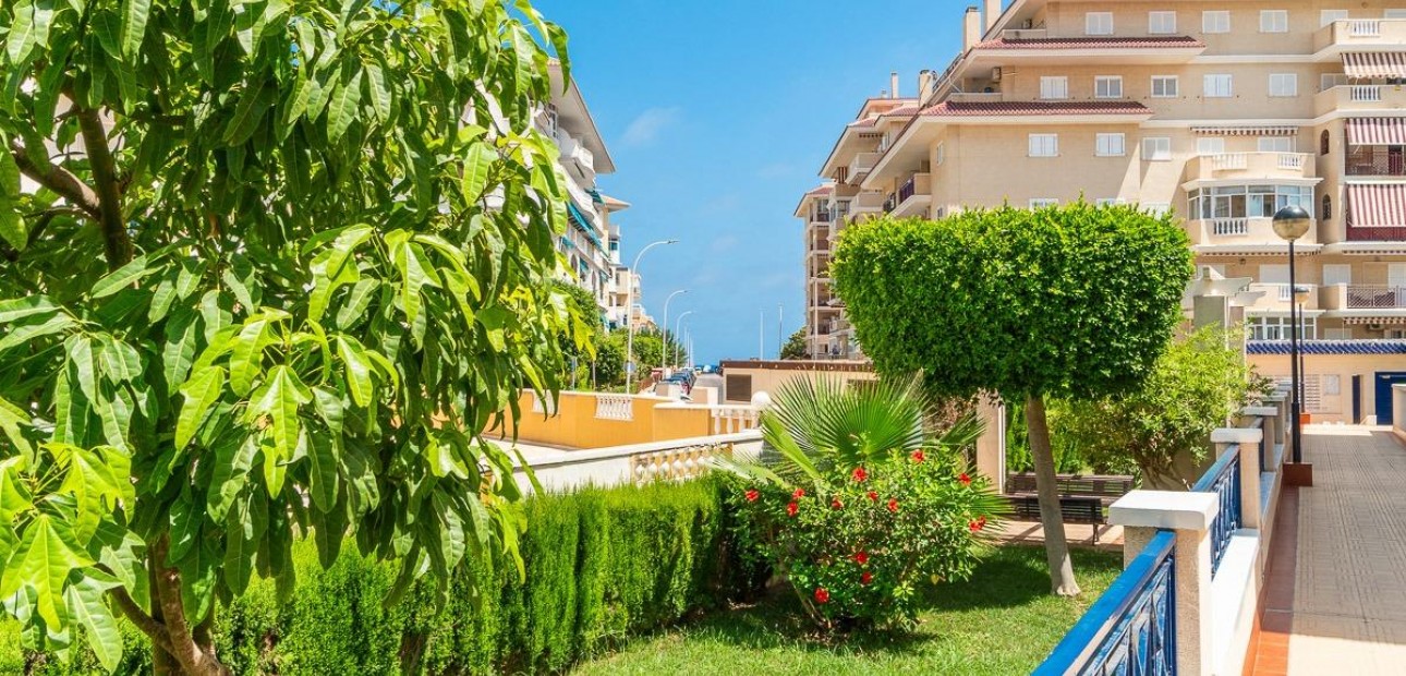 Long time Rental - Flat -
Torrevieja - La Mata