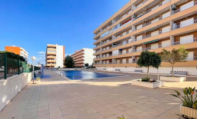 Venta - Apartamento / piso -
Torrevieja - Rocio del Mar