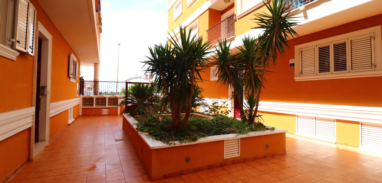 Venta - Apartamento / piso -
Rojales - Los Palacios