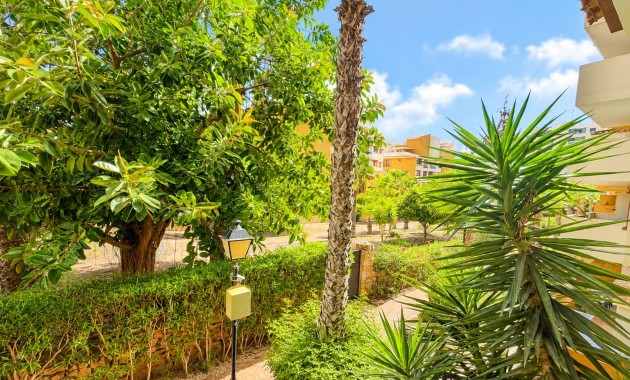 Venta - Apartamento / piso -
Orihuela Costa - Punta Prima