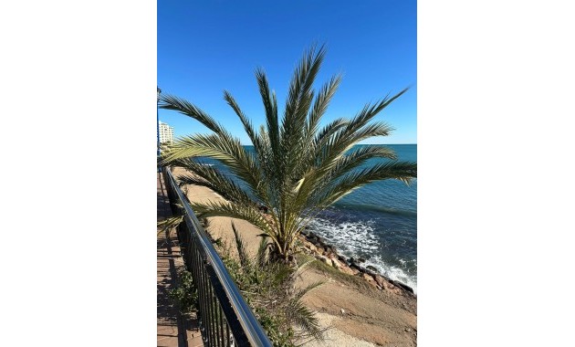 Venta - Apartamento / piso -
Orihuela Costa - Punta Prima