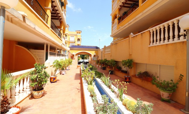 Venta - Apartamento / piso -
Algorfa - Algorfa - Village