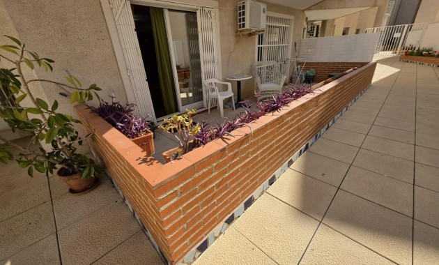 Herverkoop - Appartement / flat -
Torrevieja - torrevieja