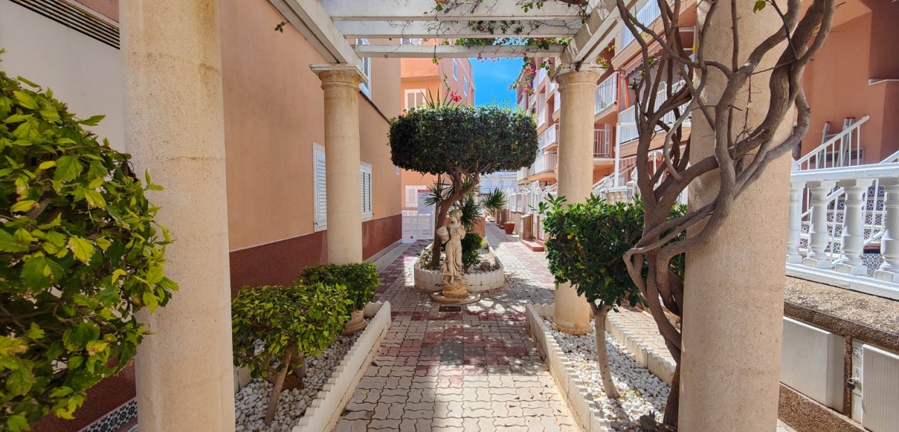 Herverkoop - Appartement / flat -
Torrevieja - Torre La Mata