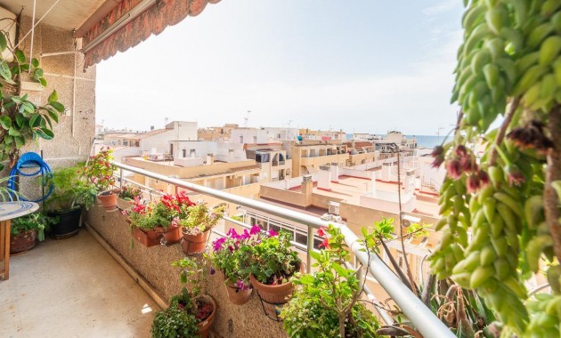 Herverkoop - Appartement / flat -
Torrevieja - Curva del Palangre