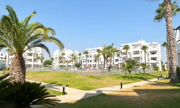 Sale - Apartment / flat -
Las Terrazas de La Torre Golf Resort - Terrazas de la Torre Golf Resort