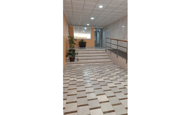 Sale - Apartment / flat -
Torrevieja - Playa Acequion