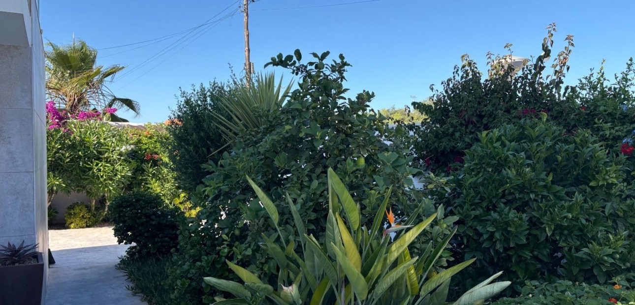 Sale - Detached Villa -
Torrevieja - Torretas
