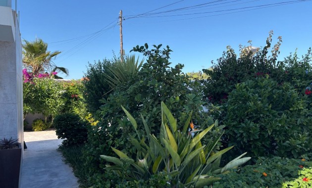 Sale - Detached Villa -
Torrevieja - Torretas