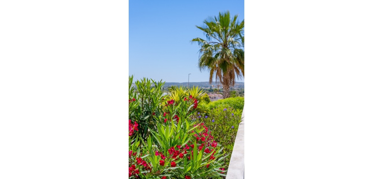Sale - Detached Villa -
La Marina - La Marina - Urbanization