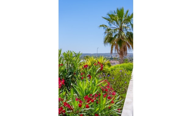 Sale - Detached Villa -
La Marina - La Marina - Urbanization