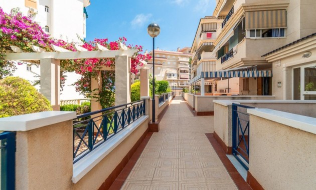 Verhuur - Flat -
Torrevieja - La Mata