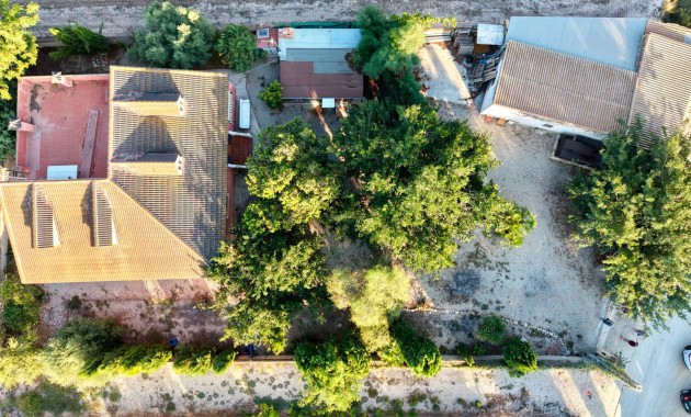 Sale - Finca - Country Property -
Catral