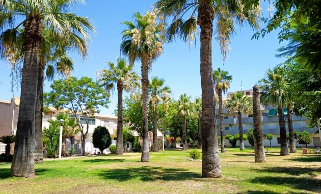 Sale - Bungalow -
Orihuela Costa - La Regia