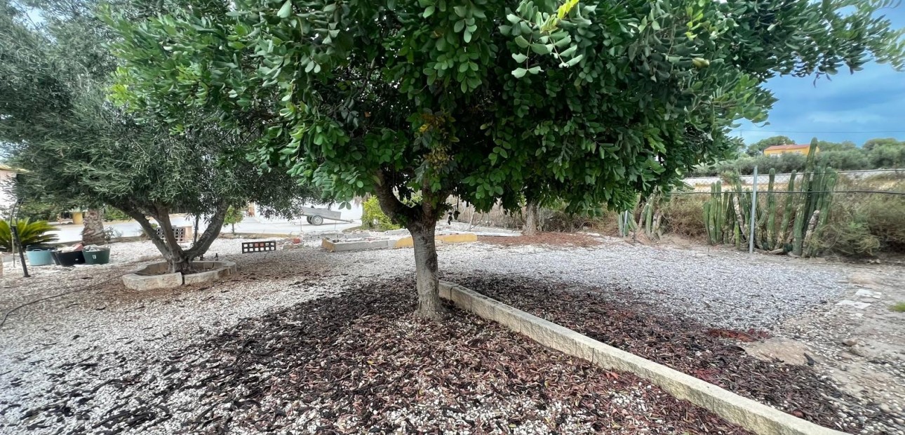 Sale - Country Property -
San Fulgencio - San Fulgencio - Country