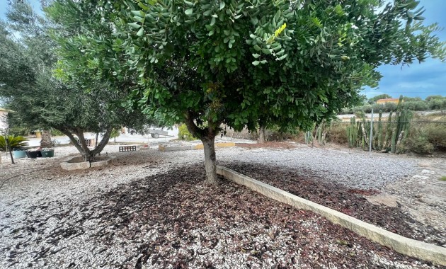Sale - Country Property -
San Fulgencio - San Fulgencio - Country
