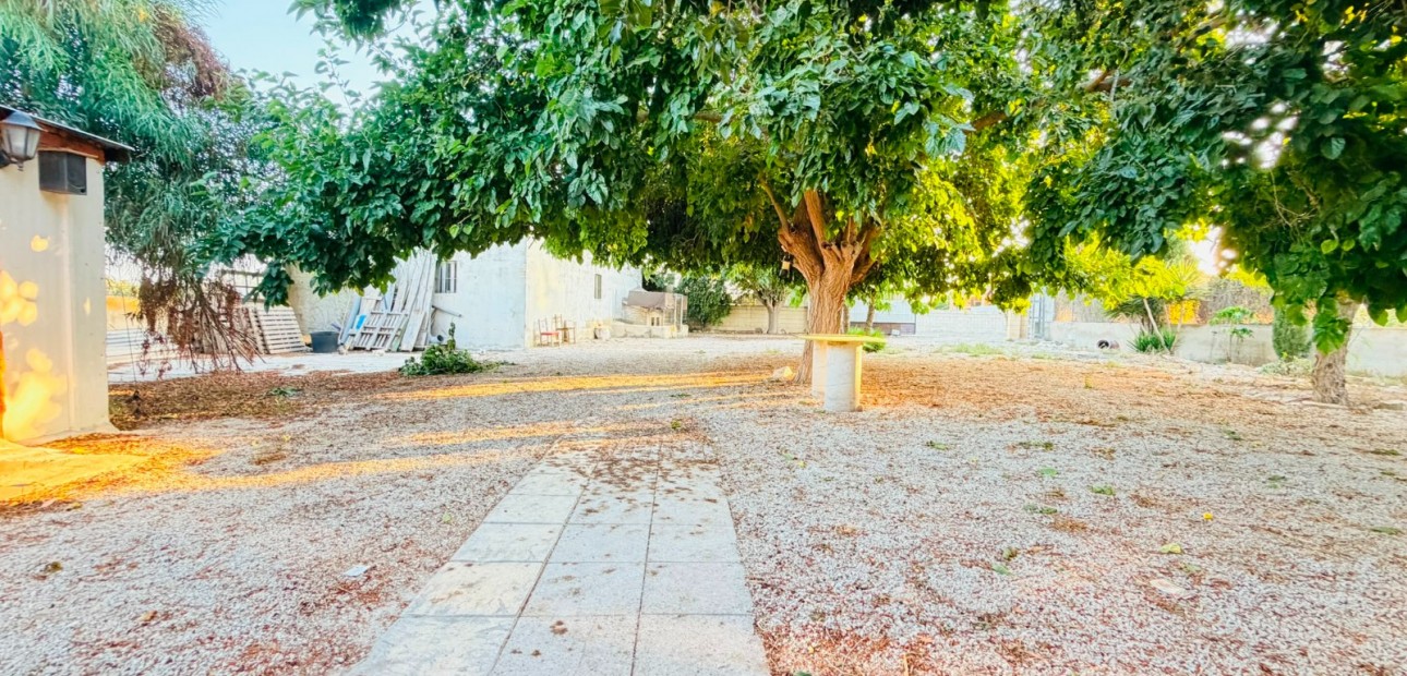 Sale - Country Property -
Catral - Catral - Town