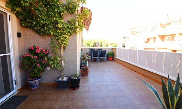 Venta - Apartamento / piso -
Benejúzar - Benejuzar - Town