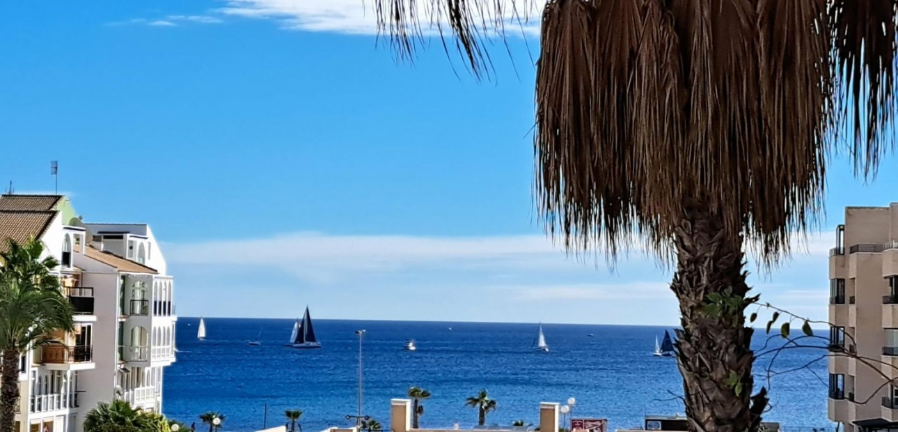Venta - Apartamento / piso -
Torrevieja - La veleta