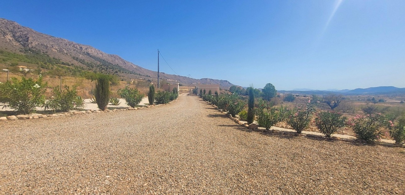 Venta - Detached Villa -
La Romana - La Romana - Country