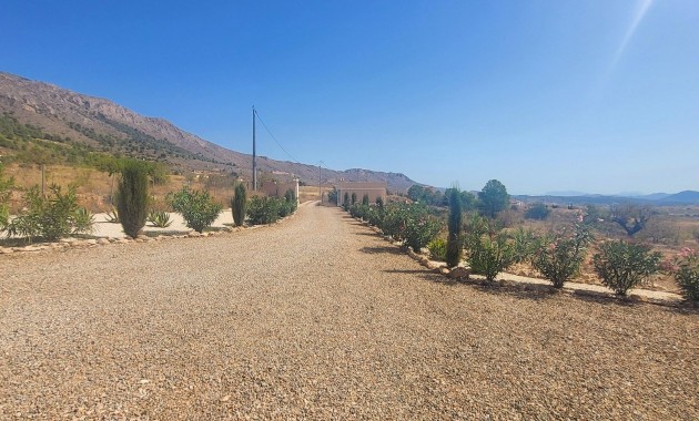 Venta - Detached Villa -
La Romana - La Romana - Country