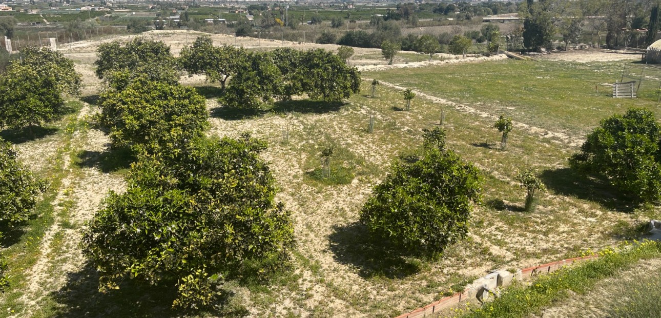 Herverkoop - Detached Villa -
Guardamar del Segura - Valencian Community