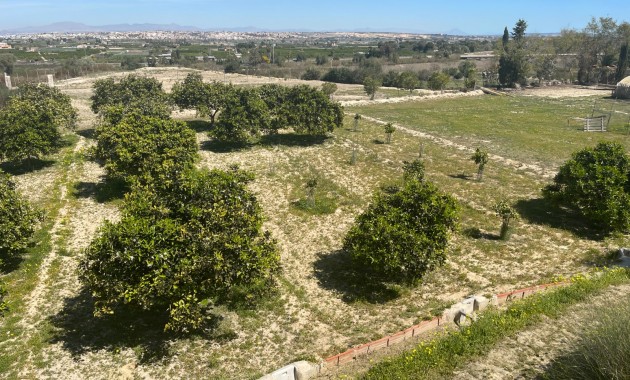 Herverkoop - Detached Villa -
Guardamar del Segura - Valencian Community