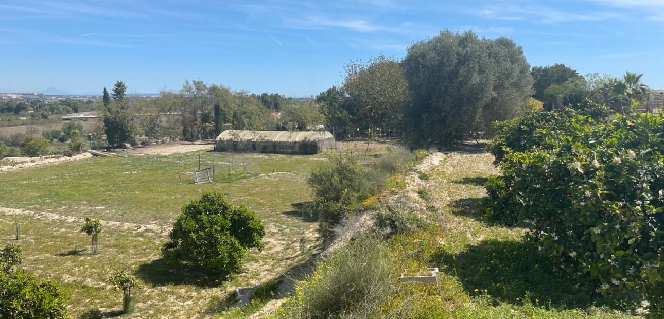 Herverkoop - Detached Villa -
Guardamar del Segura - Valencian Community