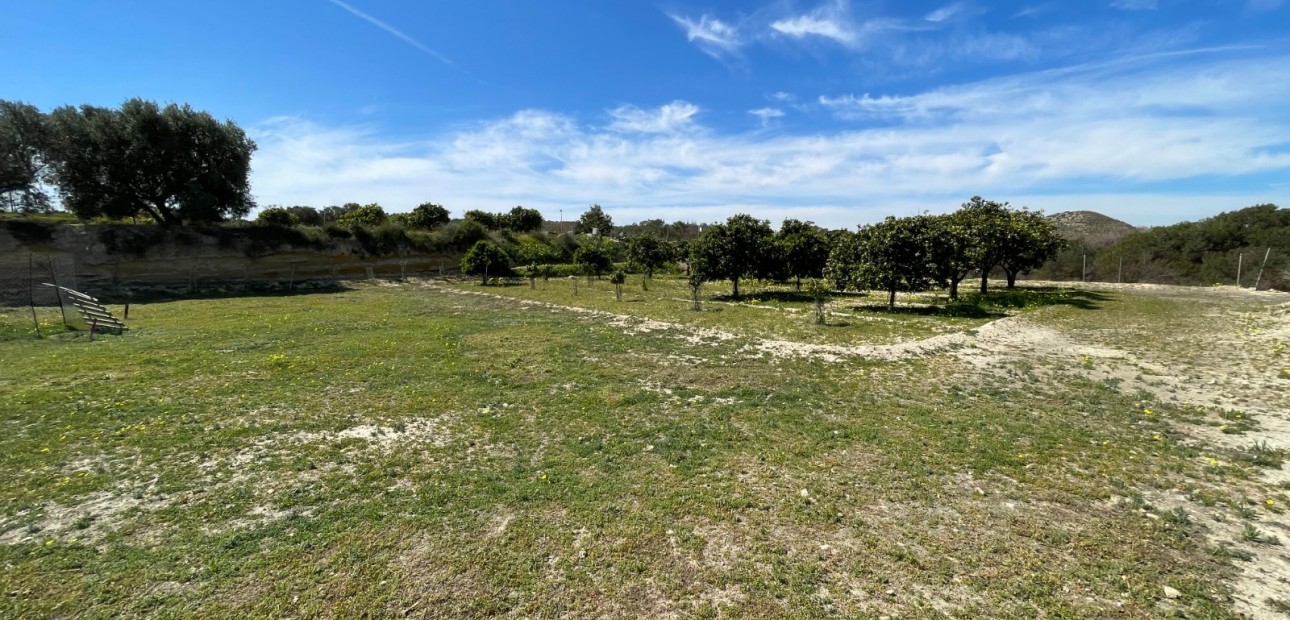Herverkoop - Detached Villa -
Guardamar del Segura - Valencian Community