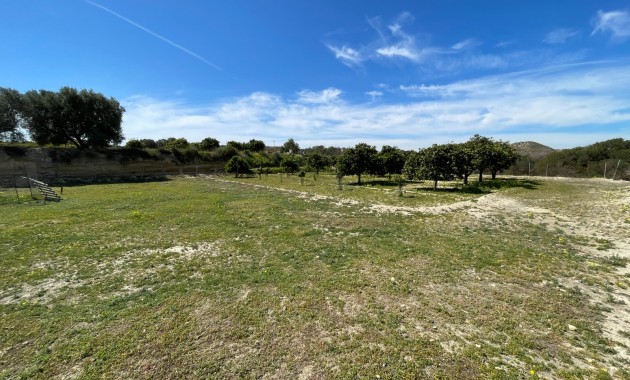 Herverkoop - Detached Villa -
Guardamar del Segura - Valencian Community