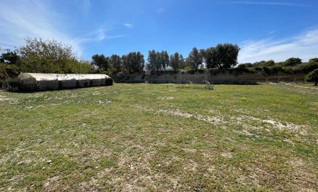 Herverkoop - Detached Villa -
Guardamar del Segura - Valencian Community