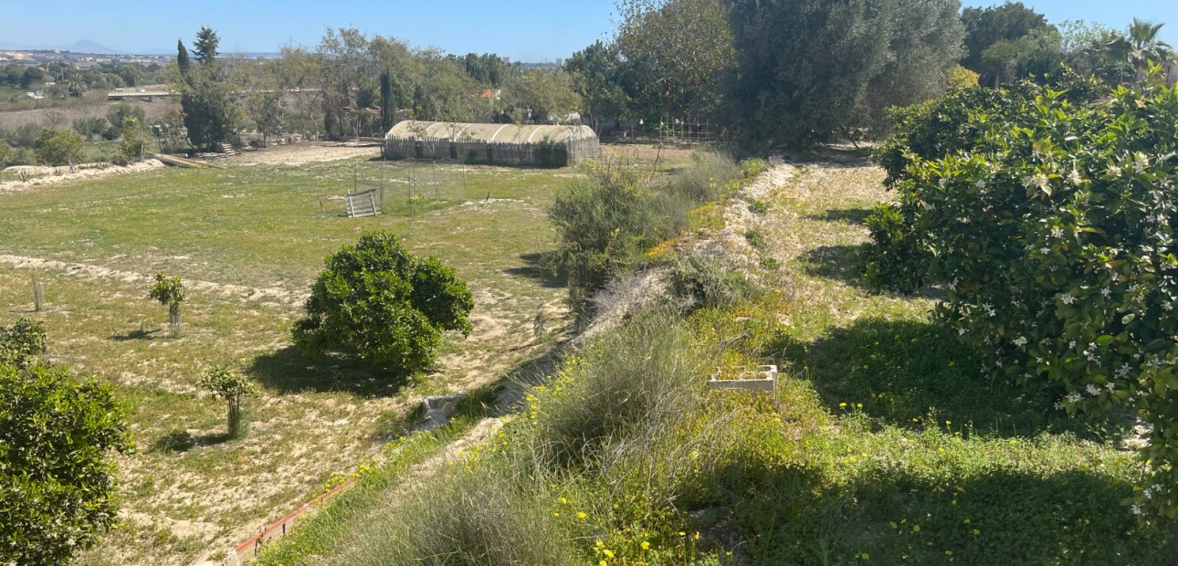 Herverkoop - Detached Villa -
Guardamar del Segura - Valencian Community
