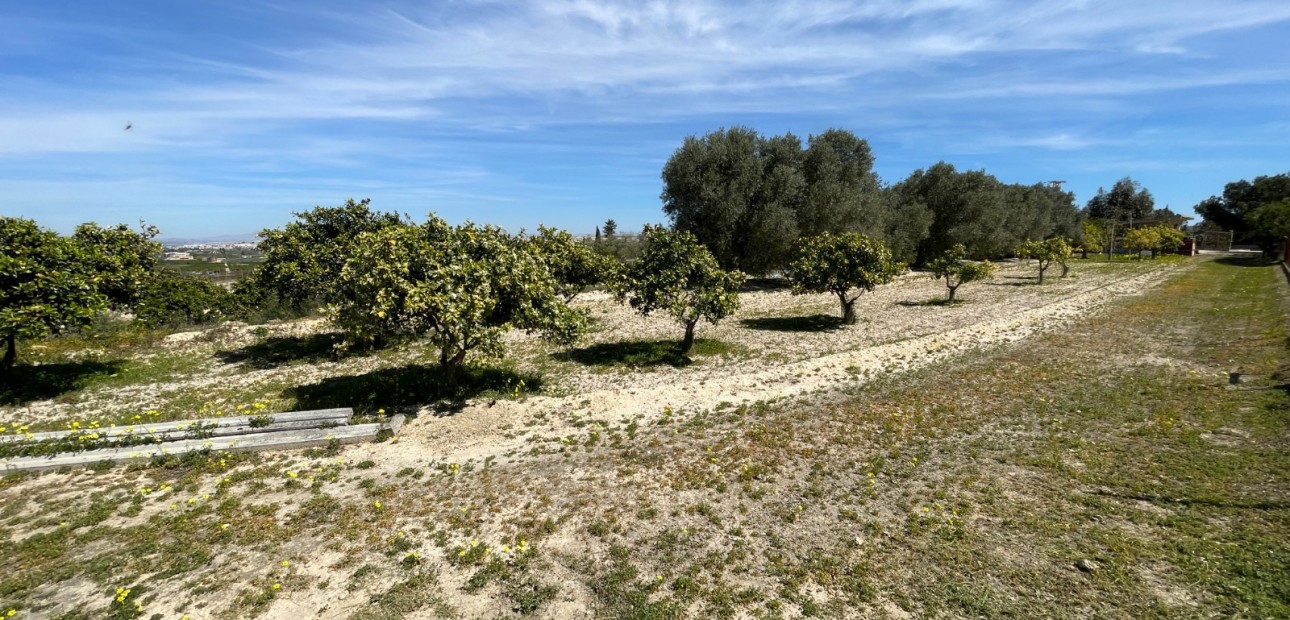Herverkoop - Detached Villa -
Guardamar del Segura - Valencian Community