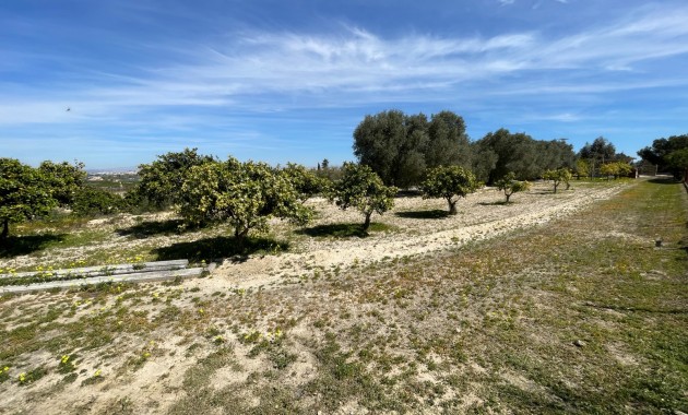 Herverkoop - Detached Villa -
Guardamar del Segura - Valencian Community