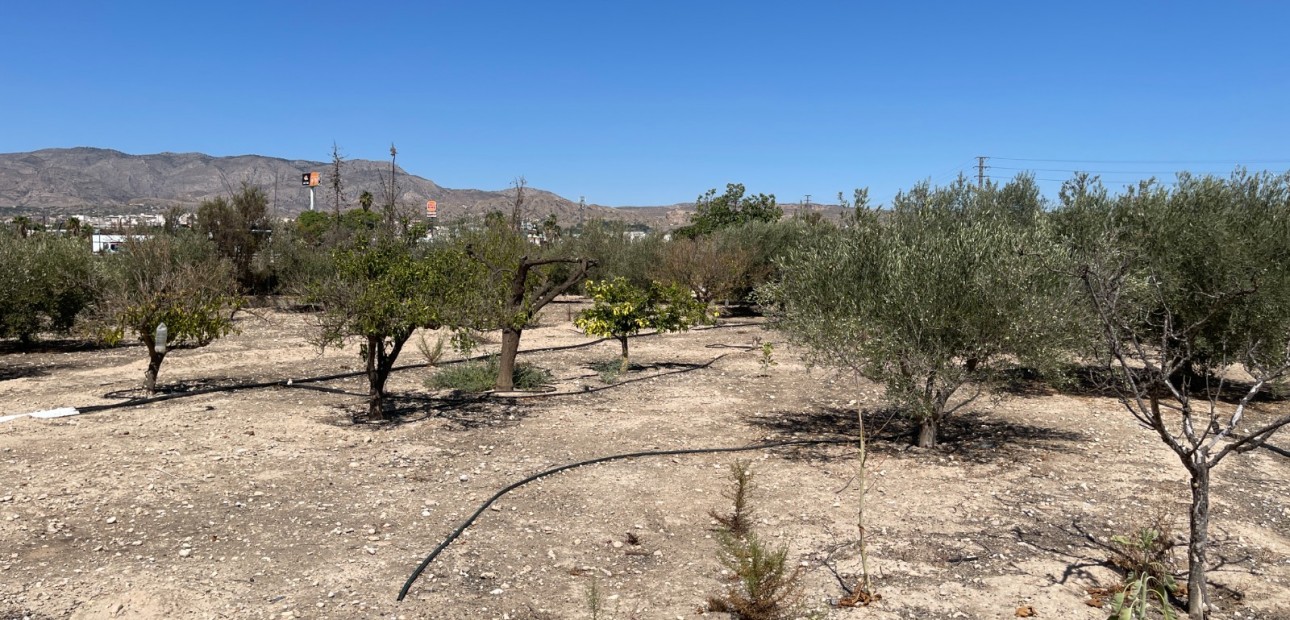 Herverkoop - Detached Villa -
Crevillente
