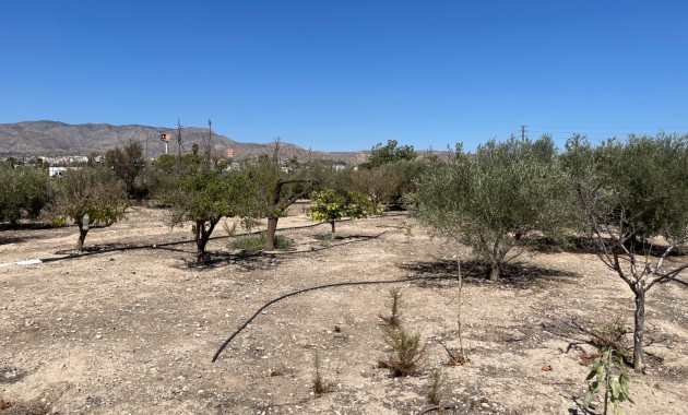 Herverkoop - Detached Villa -
Crevillente