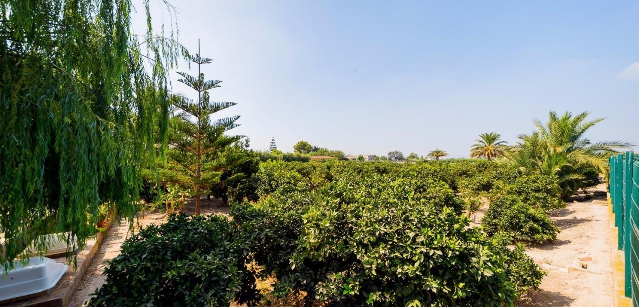 Herverkoop - Country Property -
Almoradi - Almoradi - Town
