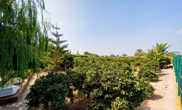 Herverkoop - Country Property -
Almoradi - Almoradi - Town