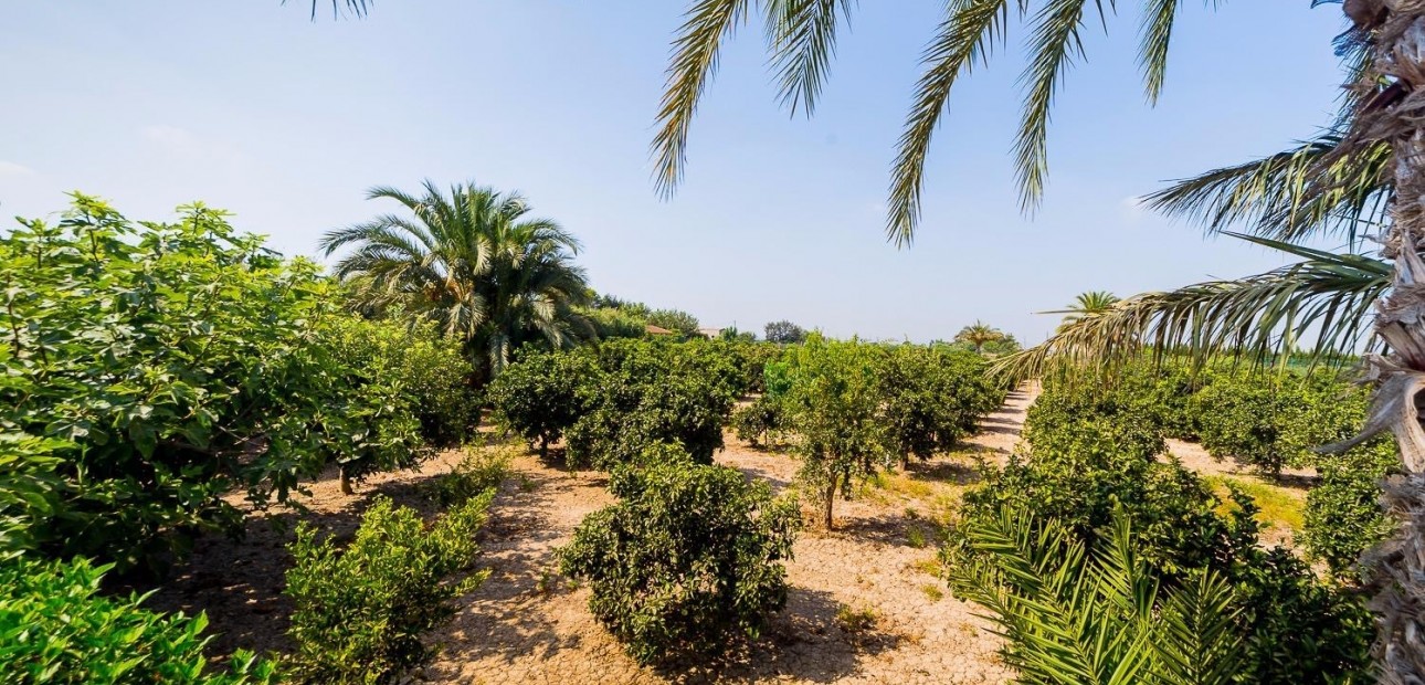 Herverkoop - Country Property -
Almoradi - Almoradi - Town