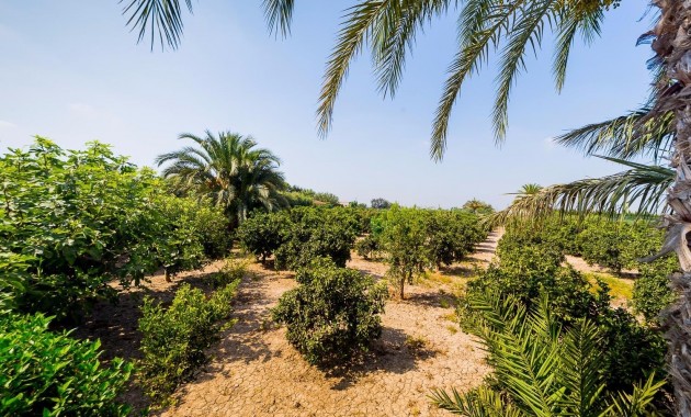 Herverkoop - Country Property -
Almoradi - Almoradi - Town