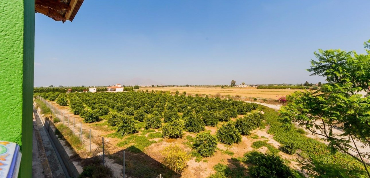Herverkoop - Country Property -
Almoradi - Almoradi - Town