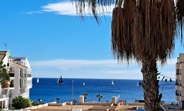 Sale - Apartment / flat -
Torrevieja - La veleta