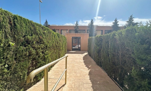 Sale - Apartment / flat -
Torrevieja - Playa del cura