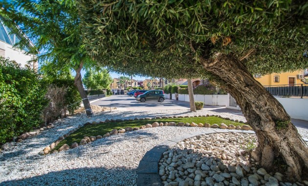 Venta - House -
Algorfa - ALGORFA