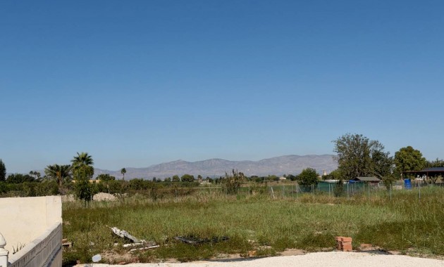 Venta - Finca / Country Property -
Dolores - Comunidad Valenciana
